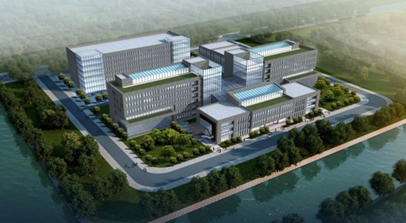 沈阳网站建设:选择专业团队 vs 独立开发者